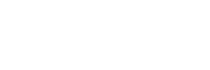 Network logo