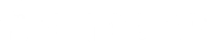 Network logo